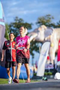 BIB: 
                            <button type="button" onclick="openModal(26541295)" class="btn btn-primary btn-sm float-right btn-popup" data-toggle="modal" data-target=".modal-high-quality">
                        <i class="fas fa-shopping-cart"></i> Add to Cart
                    </button>
                                            <button type="button" onclick="isThisMe(26541295, true)" class="btn btn-success btn-sm float-right btn-popup btn-isme hidden" data-toggle="tooltip" data-placement="bottom" title="นี่คือรูปของคุณใช่ไหม คลิกที่นี่เพื่อเอาเข้าอัลบั้ม">
                        <i class="fas fa-plus"></i> Add to album
                    </button>
                    <button type="button" onclick="isThisMe(26541295, false)" class="btn btn-warning btn-sm float-right btn-popup btn-isnotme hidden">
                        <i class="fas fa-ban"></i> Remove from album
                    </button>